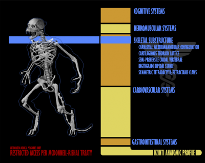 Kzinti skeletal configuration